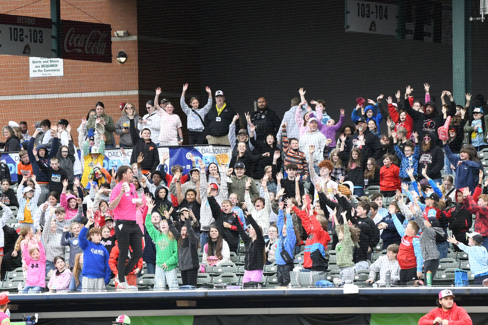 MiLB fans